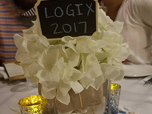 Logix Christmas in June party 2017